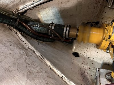 IMG_1972 – stort.jpeg