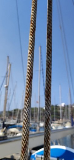 shroud.jpg shroud.jpg