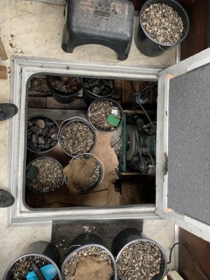 IMG_9391.jpeg IMG_9391.jpeg