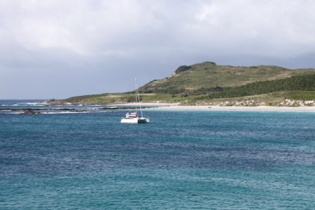 IMG_6405.jpeg IMG_6405.jpeg