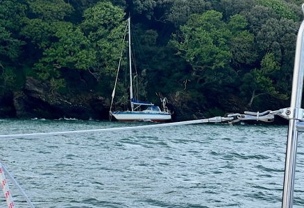 IMG_0361.jpeg IMG_0361.jpeg