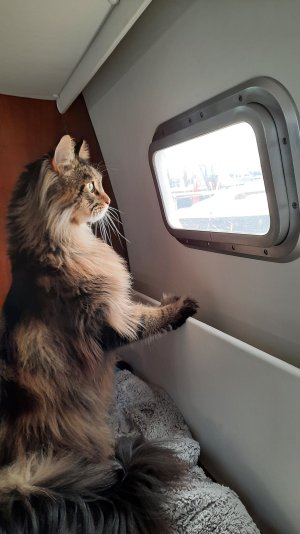 Neighborhood watch.jpg