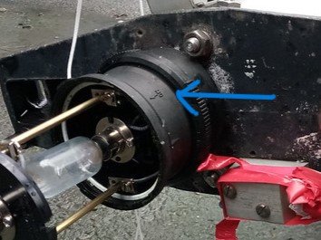 closeup.jpg closeup.jpg