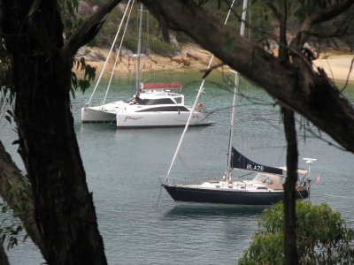 Tasmania On route 08 118.jpg Tasmania On route 08 118.jpg