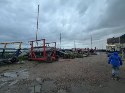 IMG_0091.jpeg IMG_0091.jpeg