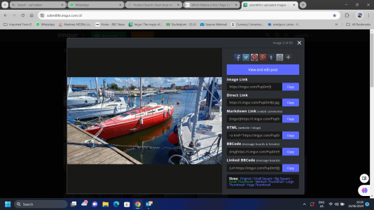 1718522912729.png 1718522912729.png