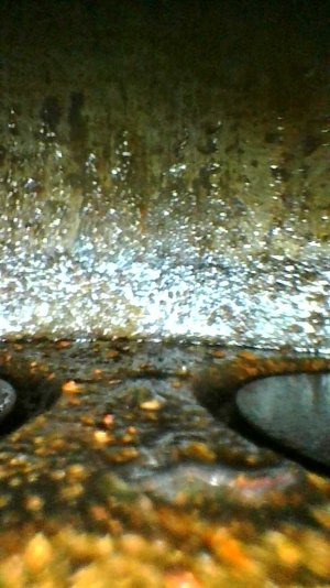 Photo_2023-08-11 16_49_27_009.jpg