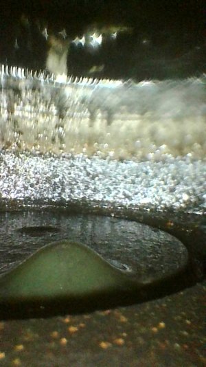 Photo_2023-08-11 16_47_42_821.jpg