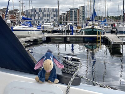 IMG_9643 1000pix.jpg IMG_9643 1000pix.jpg