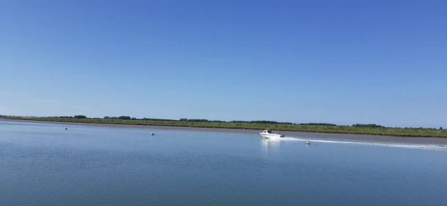 vlcsnap-2024-06-23-09h41m01s703 - Copy.png vlcsnap-2024-06-23-09h41m01s703 - Copy.png