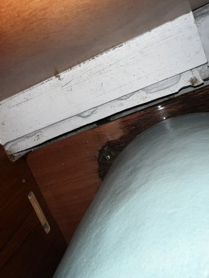 IMG_1048.jpeg IMG_1048.jpeg