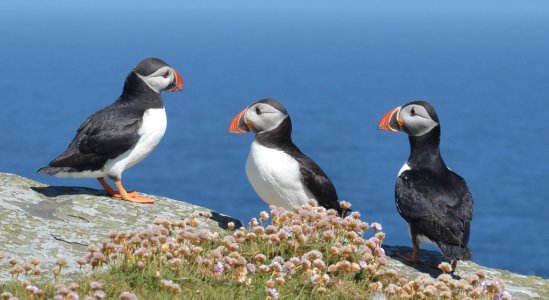 You_Doodle_2024-06-25T11_30_09Z.jpeg You_Doodle_2024-06-25T11_30_09Z.jpeg