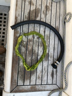 IMG_9685 1000pix.jpg