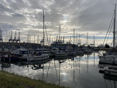 IMG_9672 1000pix.jpg