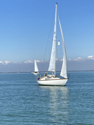 IMG_9690 1000pix.jpg