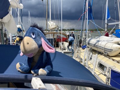 IMG_9676 1000pix.jpg IMG_9676 1000pix.jpg