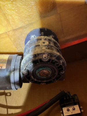 1719483418427.jpeg 1719483418427.jpeg