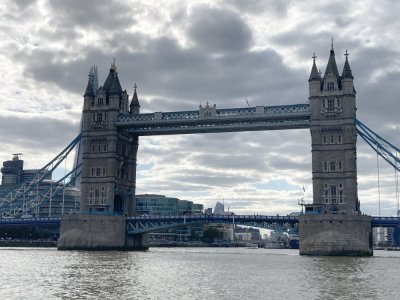 IMG_9754 1000pix.jpg