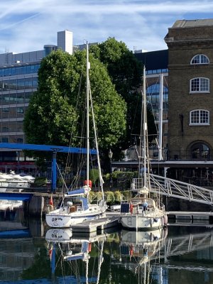 IMG_9766 1000pix.jpg