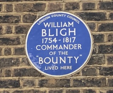 IMG_9782 cropped.jpg