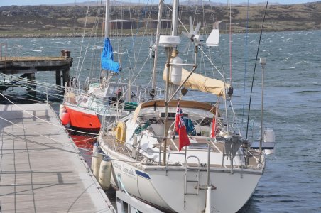 DSC_1472.jpeg DSC_1472.jpeg