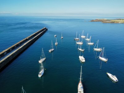 ald2sm.jpg ald2sm.jpg