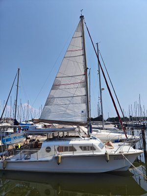 WhatsApp Image 2024-07-19 at 14.35.55 (1).jpeg