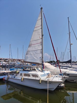 WhatsApp Image 2024-07-19 at 14.35.55.jpeg