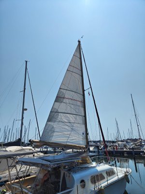 WhatsApp Image 2024-07-19 at 14.36.14.jpeg