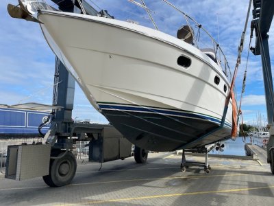 IMG_4539.jpeg IMG_4539.jpeg