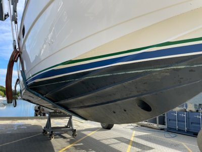 IMG_4544.jpeg IMG_4544.jpeg