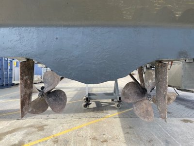 IMG_4543.jpeg IMG_4543.jpeg