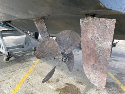 IMG_4542.jpeg IMG_4542.jpeg