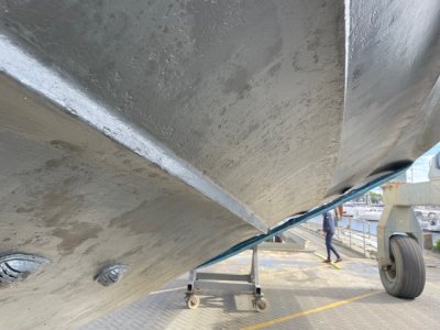 IMG_4540.jpeg IMG_4540.jpeg