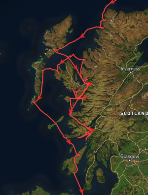 1000011786.png 1000011786.png