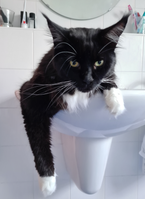 1721487479667.png 1721487479667.png