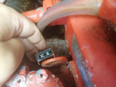 WhatsApp Image 2024-07-20 at 16.11.55 (1).jpeg