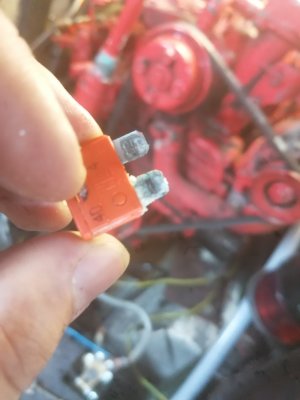 WhatsApp Image 2024-07-20 at 16.11.54.jpeg