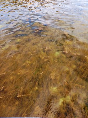 IMG_20240718_132831_4642.jpg IMG_20240718_132831_4642.jpg