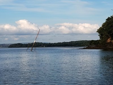 IMG_20240716_195253506.jpg IMG_20240716_195253506.jpg