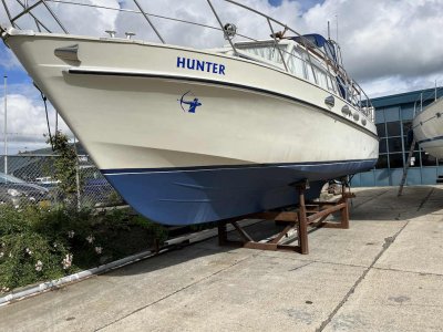 Hunter threequarters bow.jpg Hunter threequarters bow.jpg