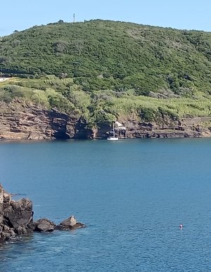 IMG_20240724_193309.jpg IMG_20240724_193309.jpg