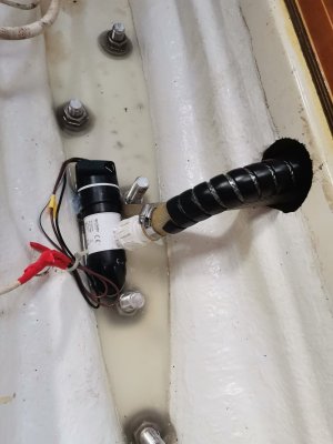 WhatsApp Image 2024-08-02 at 06.26.28.jpeg