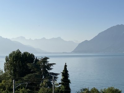 IMG_7450.jpeg IMG_7450.jpeg