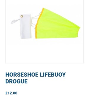 Screenshot_20240808-111040_Samsung Internet.jpg