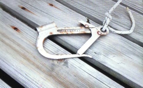 Boat hook.JPG