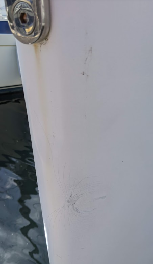 1723297287556.png 1723297287556.png