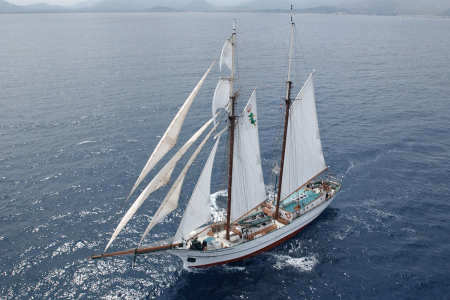 IMG_3286.png IMG_3286.png