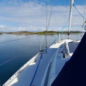 20240727_110435.jpg 20240727_110435.jpg