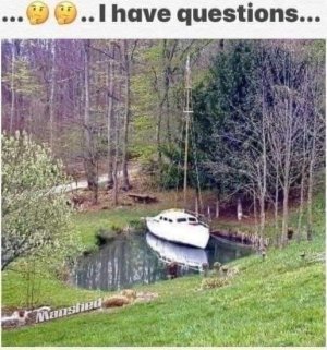 WhatsApp Image 2024-08-22 at 16.21.36.jpeg WhatsApp Image 2024-08-22 at 16.21.36.jpeg